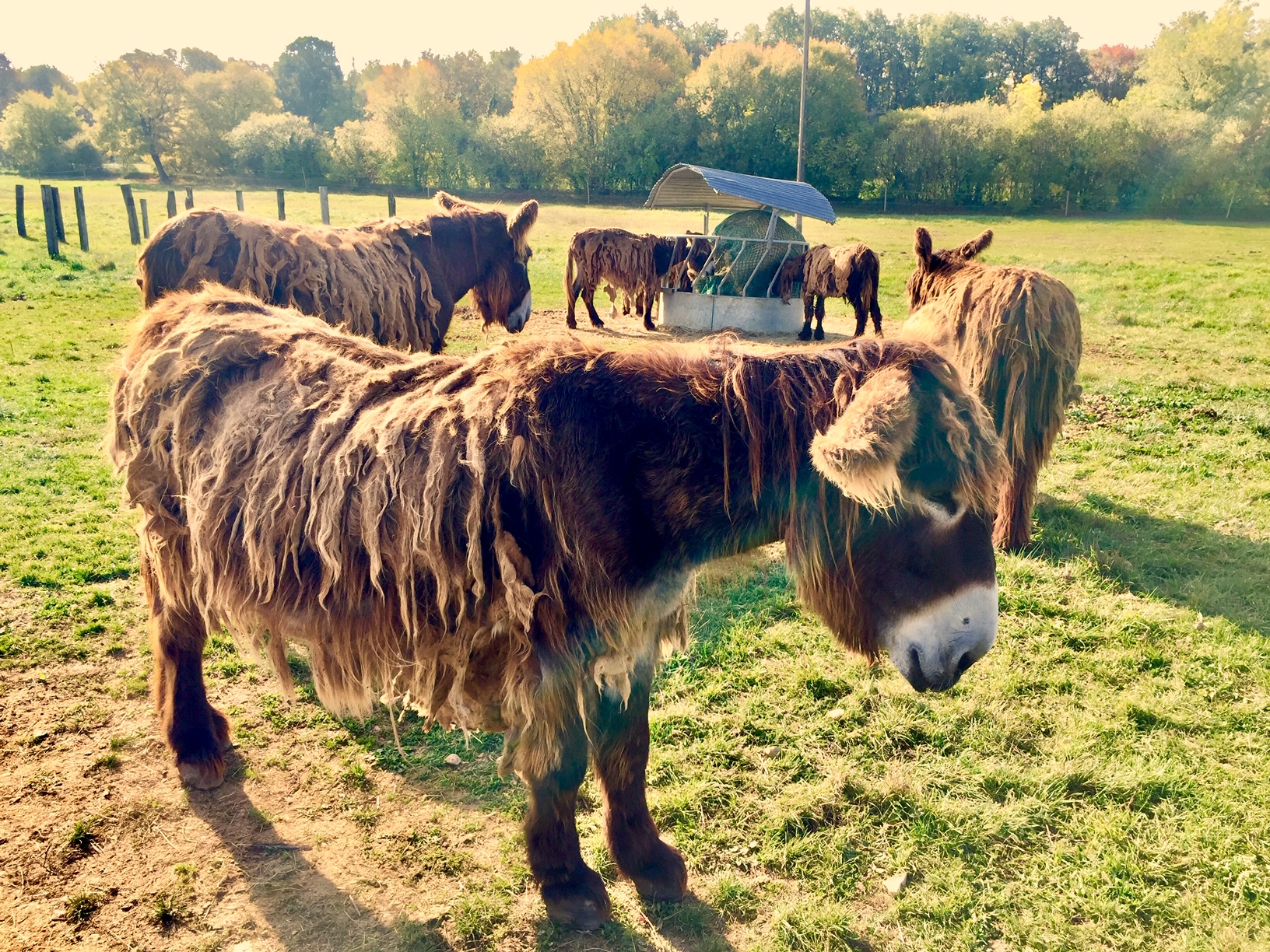 Photo n° 12 de l'avis de Paul.� fait le 18/05/2020 à 06:59