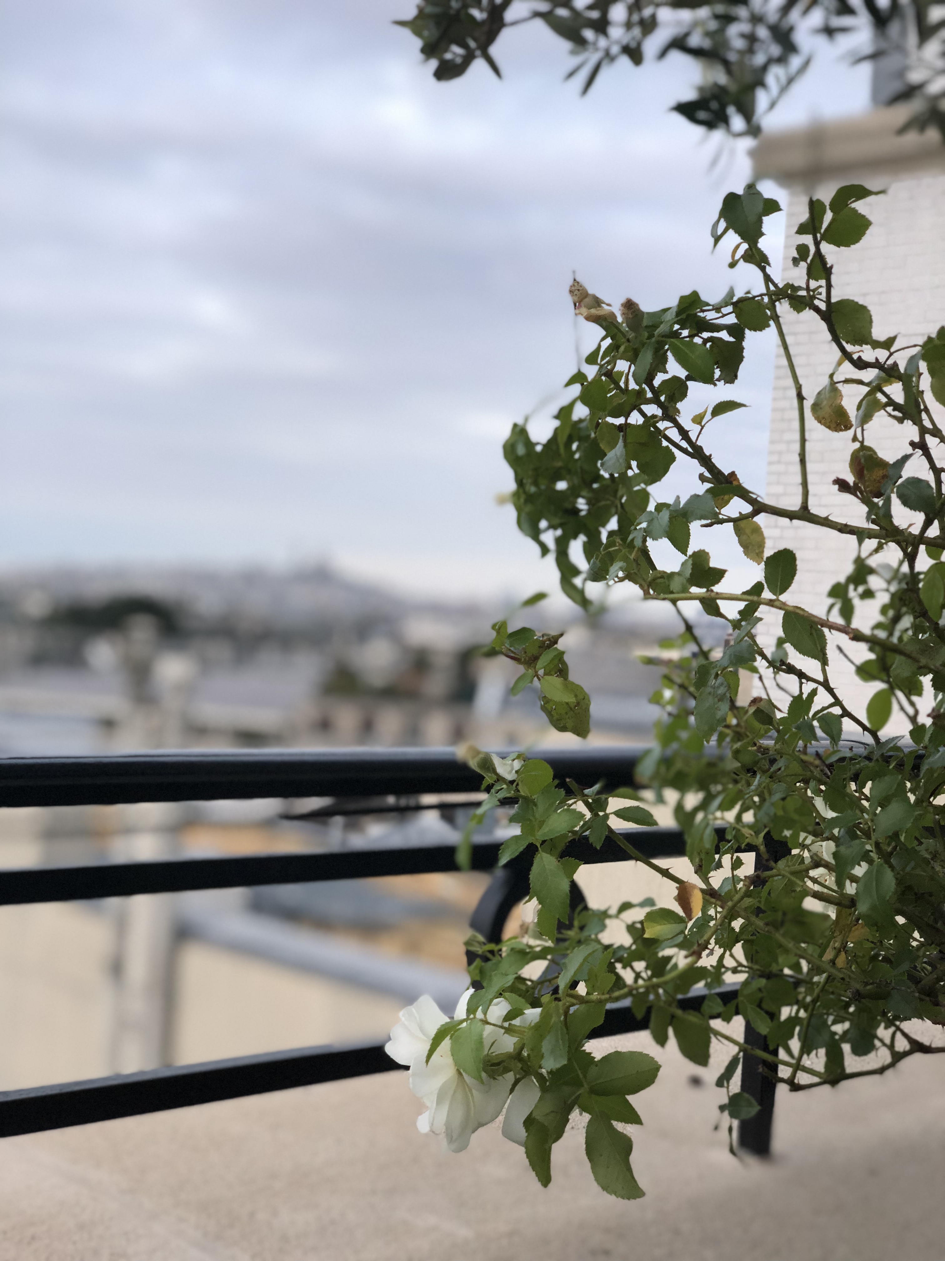Photo n° 5 de l'avis de edward.c fait le 23/08/2018 à 18:02