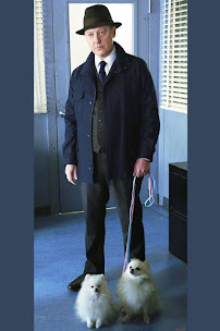 Coddled Creatures Pet Sitting LLC - Photo 4 - Car repair in , Yonkers