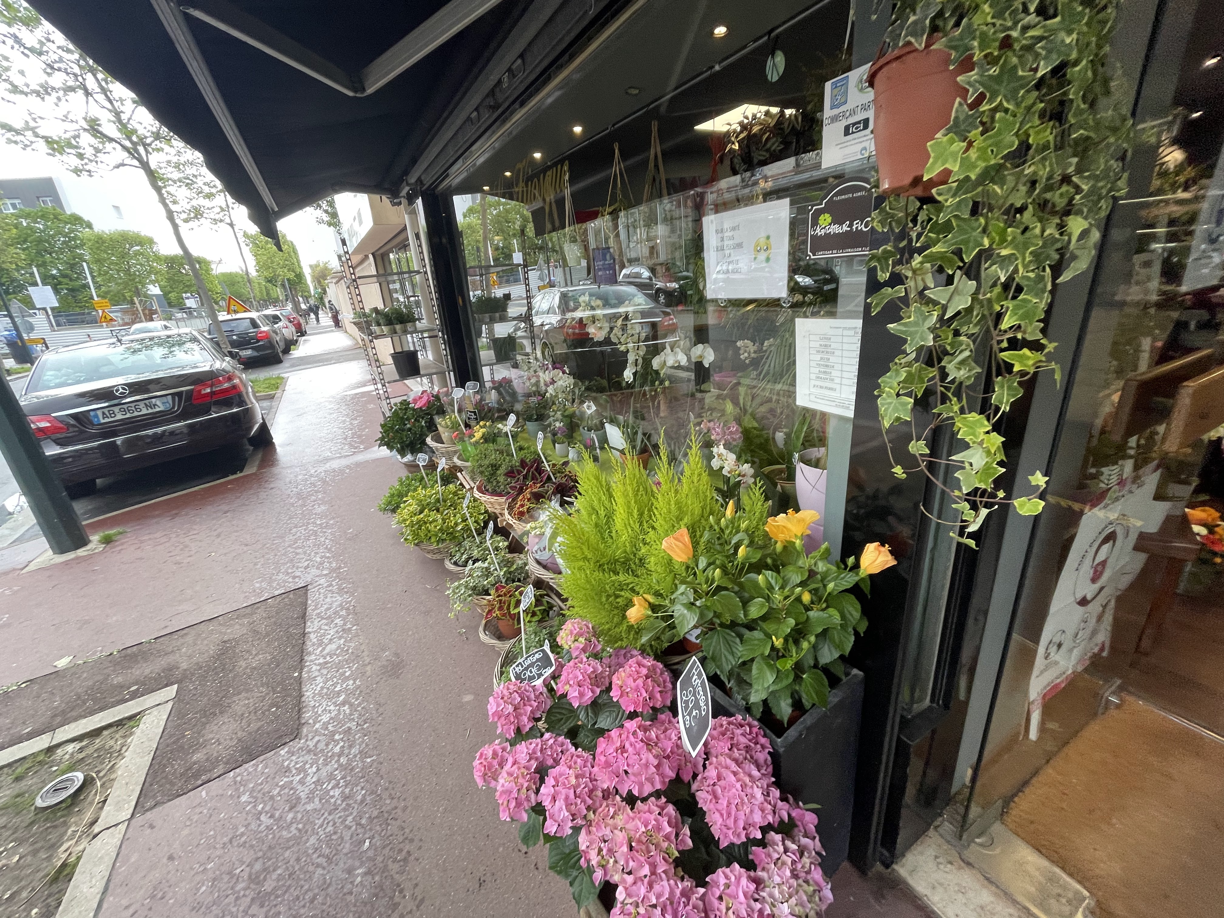 Photo n° 5 de l'avis de Hvns.d fait le 14/05/2021 à 22:06