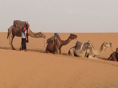 Photos of thrill of morocco tours Sarl