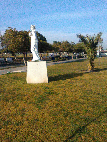 Cementerio Metropolitano - Funeraria