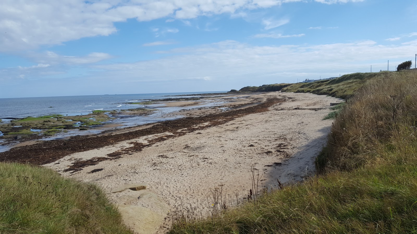 Cresswell Beach photo #9