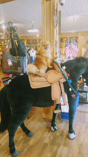 Tack Shop «Green Mountain Horse & Tack», reviews and photos, 1327 Sharon Copley Rd, Wadsworth, OH 44281, USA