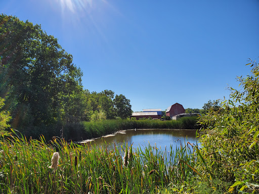 Winery «Cayuga Ridge Estate Winery», reviews and photos, 6800 NY-89, Ovid, NY 14521, USA