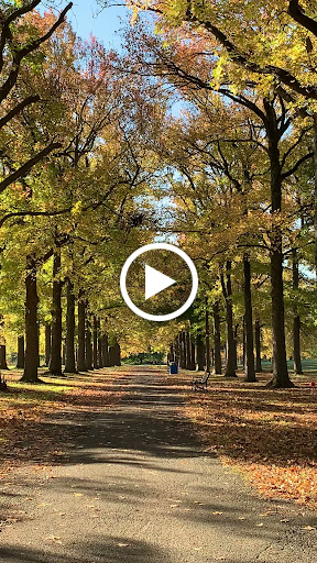 Monument «Fountain of the Dolphins», reviews and photos, 378 Sand Ln, Staten Island, NY 10305, USA