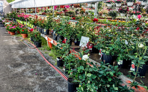 Wholesale Plant Nursery «Garden Fantasy», reviews and photos, 43250 Tyler Rd, Belleville, MI 48111, USA