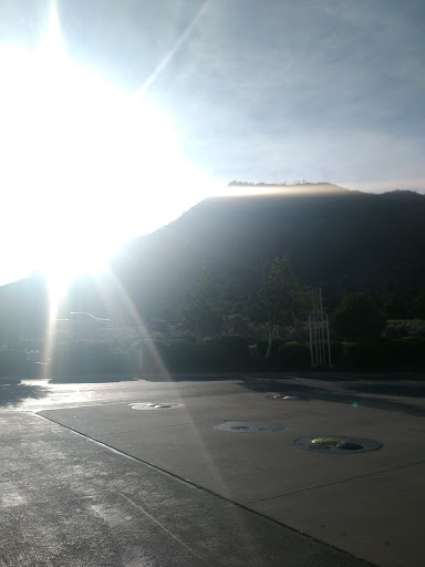 Thrift Store «Savers», reviews and photos