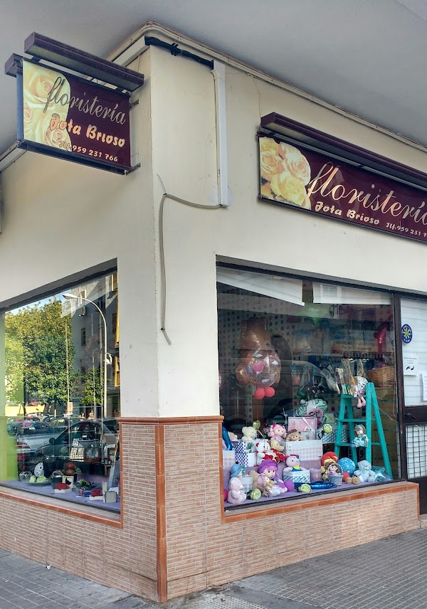 Floristería Jota Brioso