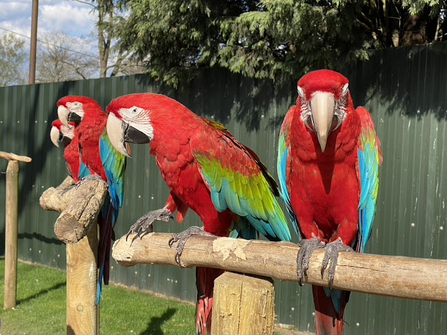 Reviews of Tropical Birdland in Leicester - Museum