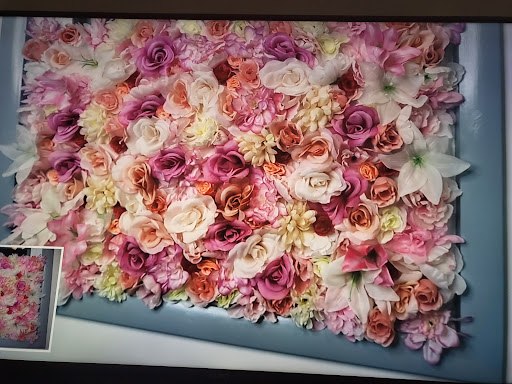 Dollar Store «Dollar Tree», reviews and photos, 765 Bridge St #3, Weymouth, MA 02191, USA