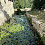 Photo n° 8 de l'avis de Vivian.a fait le 31/08/2023 à 19:12 pour Château de Mornay à Saint-Pierre-de-l'Isle