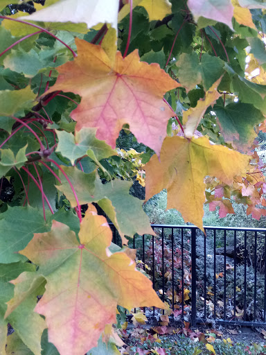 Veterans Hospital «VA Puget Sound Health Care System», reviews and photos