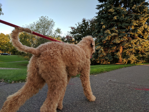 Park «Bass Lake Park», reviews and photos, 3450 Glenhurst Ave, Minneapolis, MN 55416, USA