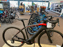 Trek Bicycle Grosse Pointe - Photo 8 - Car repair in Grosse Pointe Woods, MI, Detroit