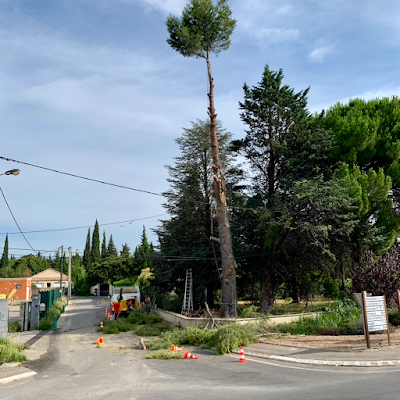 Sud Elagage Pagni à Pélissanne