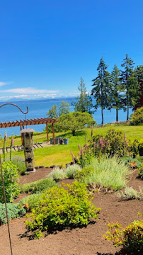 Arturo Mc Landscaping LLC - Photo 8 - Car repair in Bremerton, WA, Bremerton