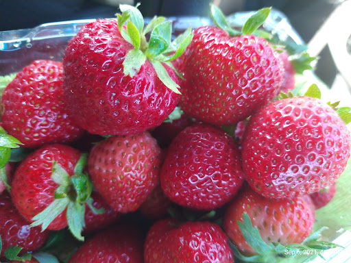 Grocery Store «Stop & Shop», reviews and photos, 67 Newtown Ln, East Hampton, NY 11937, USA