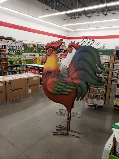Home Improvement Store «Tractor Supply Co.», reviews and photos, 2945 Boston Post Rd, Guilford, CT 06437, USA