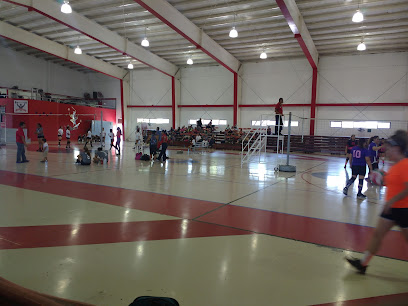 GIMNASIO FIDEL VELáZQUEZ SáNCHEZ