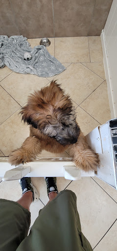 Pet Supply Store «Lil Rascals», reviews and photos, 10035 Gulf Center Dr #105, Fort Myers, FL 33913, USA