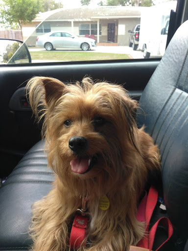 Pet Supply Store «Largo Feed & Garden Supply Inc», reviews and photos, 210 W Bay Dr, Largo, FL 33770, USA