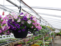 Busy Bee Nursery, Landscaping, & Construction - Photo 2 - Car repair in Jefferson, MA, Worcester