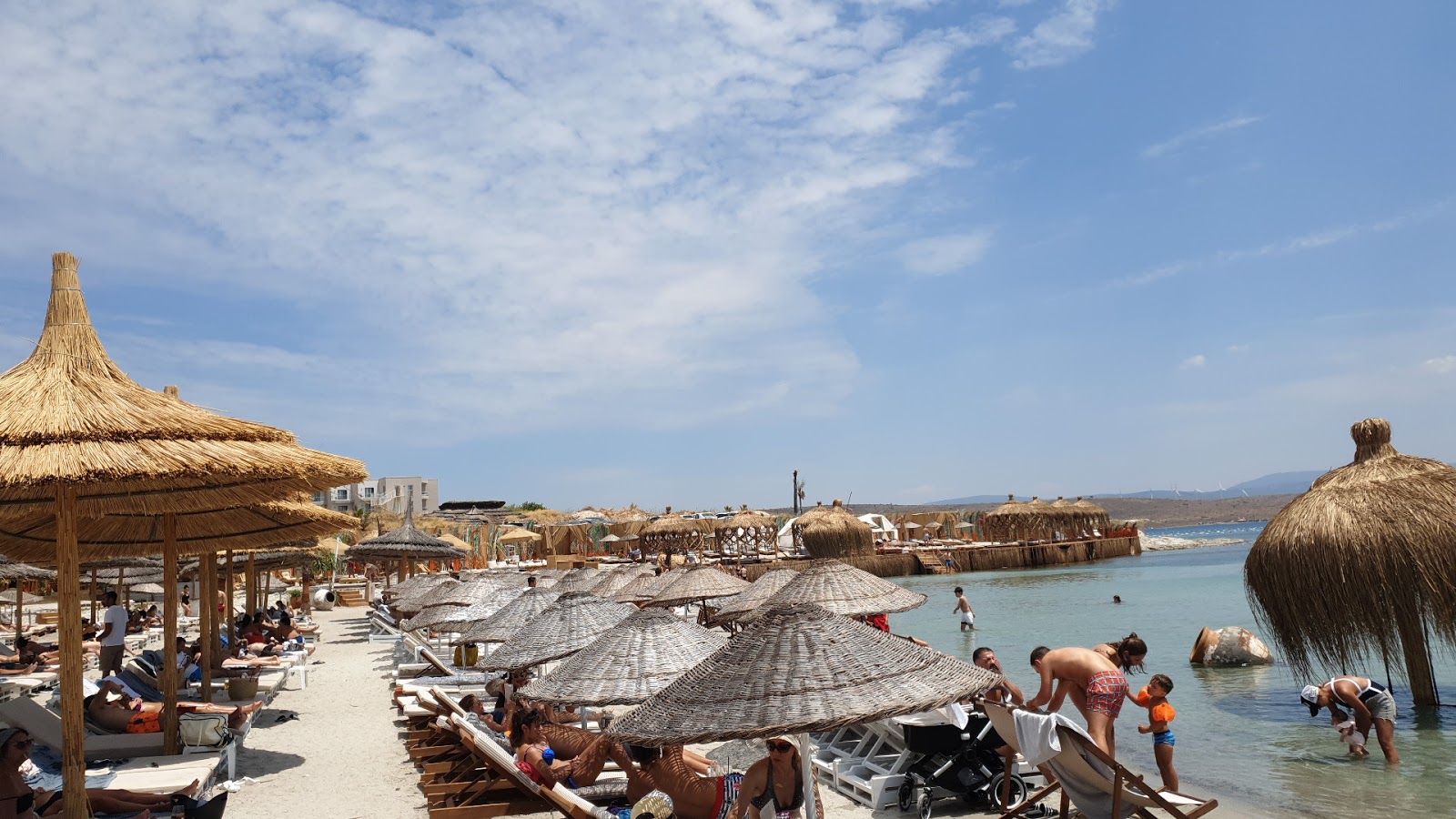 Cocos club beach photo #6