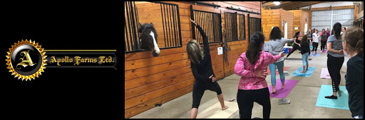 Horse Trainer «Apollo Farms Ltd.», reviews and photos, 3070 Summer Mountain Rd, Palmerton, PA 18071, USA