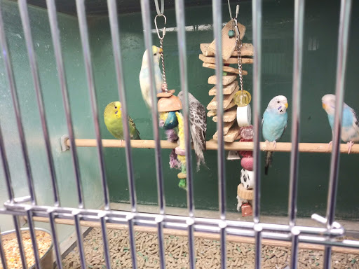 Pet Supply Store «Pet Club Santa Rosa», reviews and photos, 1935 Santa Rosa Ave, Santa Rosa, CA 95407, USA