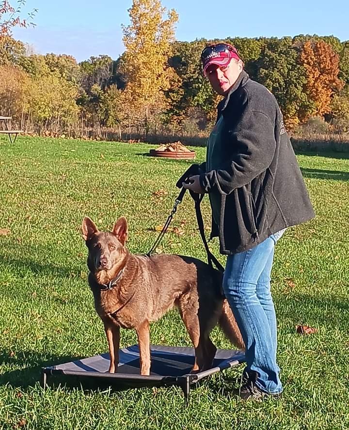 78th K-9 Dog Training