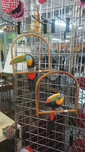 Thrift Store «Boomerangs Thrift Store», reviews and photos, 2365 Wilton Dr, Wilton Manors, FL 33305, USA