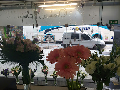 La Mejor Flor - Orquídea Shop