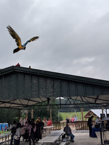 Tourist Attraction «Barn Hill Preserve», reviews and photos, 11370 LA-955, Ethel, LA 70730, USA