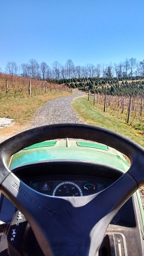 Vineyard «Linville Falls Winery», reviews and photos, 9557 Linville Falls Hwy, Newland, NC 28657, USA