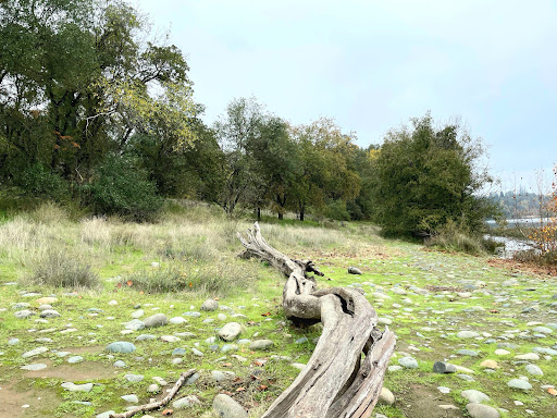 Nature Preserve «Effie Yeaw Nature Center», reviews and photos, 2850 San Lorenzo Way, Carmichael, CA 95608, USA