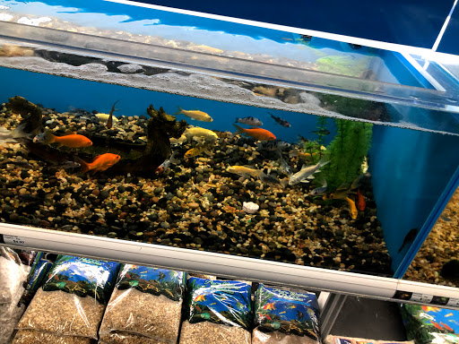 Pet Supply Store «Pet Supermarket», reviews and photos, 2959 N Druid Hills Rd NE, Atlanta, GA 30329, USA