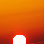 Photo n°3 de l'avis de GIACOMO.G fait le 27/08/2023 à 09:17 sur le  Ristorante Pizzeria BASTIA'S à Loc. Colle D'Orano, Marciana