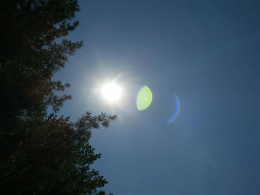 Park «Ruff Park», reviews and photos, Litchfield Dr, Hopkinsville, KY 42240, USA