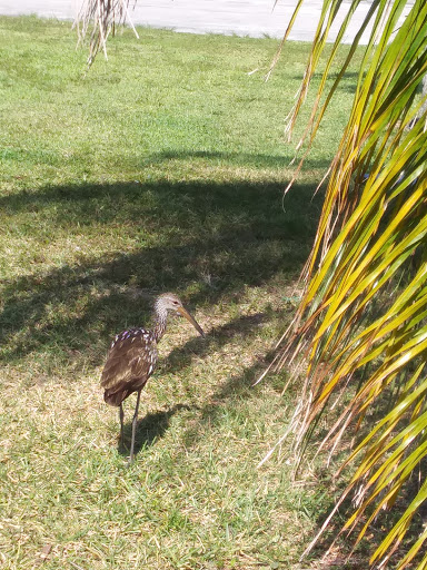 Park «Mills Pond Park», reviews and photos, 2201 Northwest 9th Avenue, Fort Lauderdale, FL 33311, USA