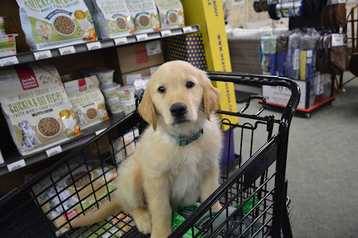 Pet Supply Store «The Natural Pet Enrichment Center», reviews and photos, 6720 Royalton Rd, North Royalton, OH 44133, USA