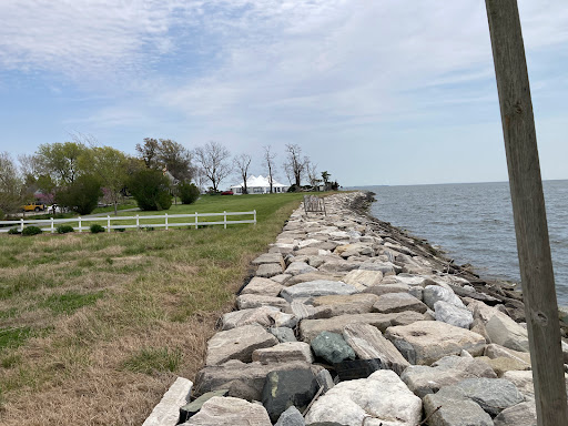 Boat Tour Agency «Patriot Cruises», reviews and photos, 213 N Talbot St, St Michaels, MD 21663, USA