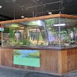 Reptile and Amphibian Discovery Room