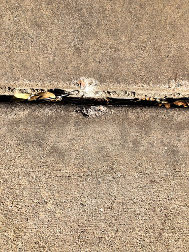 Roofing Contractor «Total Roofing», reviews and photos