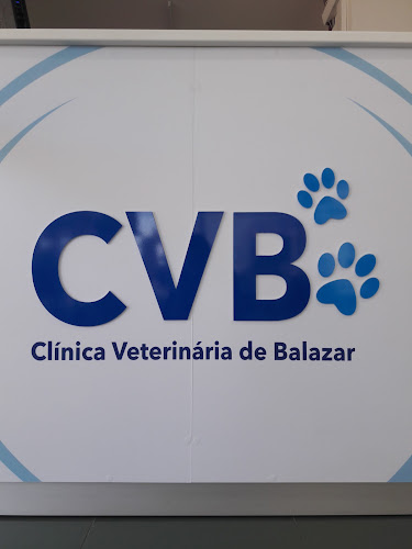 Avaliações doClínica Veterinária de Balazar em Guimarães - Veterinário
