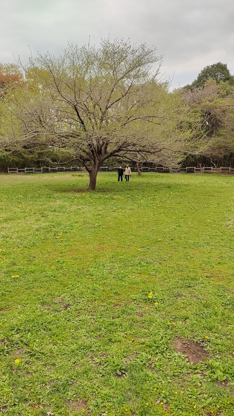 野津田公園