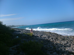 James Point beach'in fotoğrafı biraz temiz temizlik seviyesi ile
