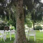 Photo n°3 de l'avis de Settimio.i fait le 28/08/2019 à 08:58 sur le  Villa Elia à Calizzano