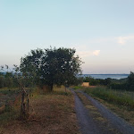 Photo n°3 de l'avis de Debora.a fait le 10/08/2023 à 21:08 sur le  Agriturismo La Palombara à San Lorenzo Nuovo