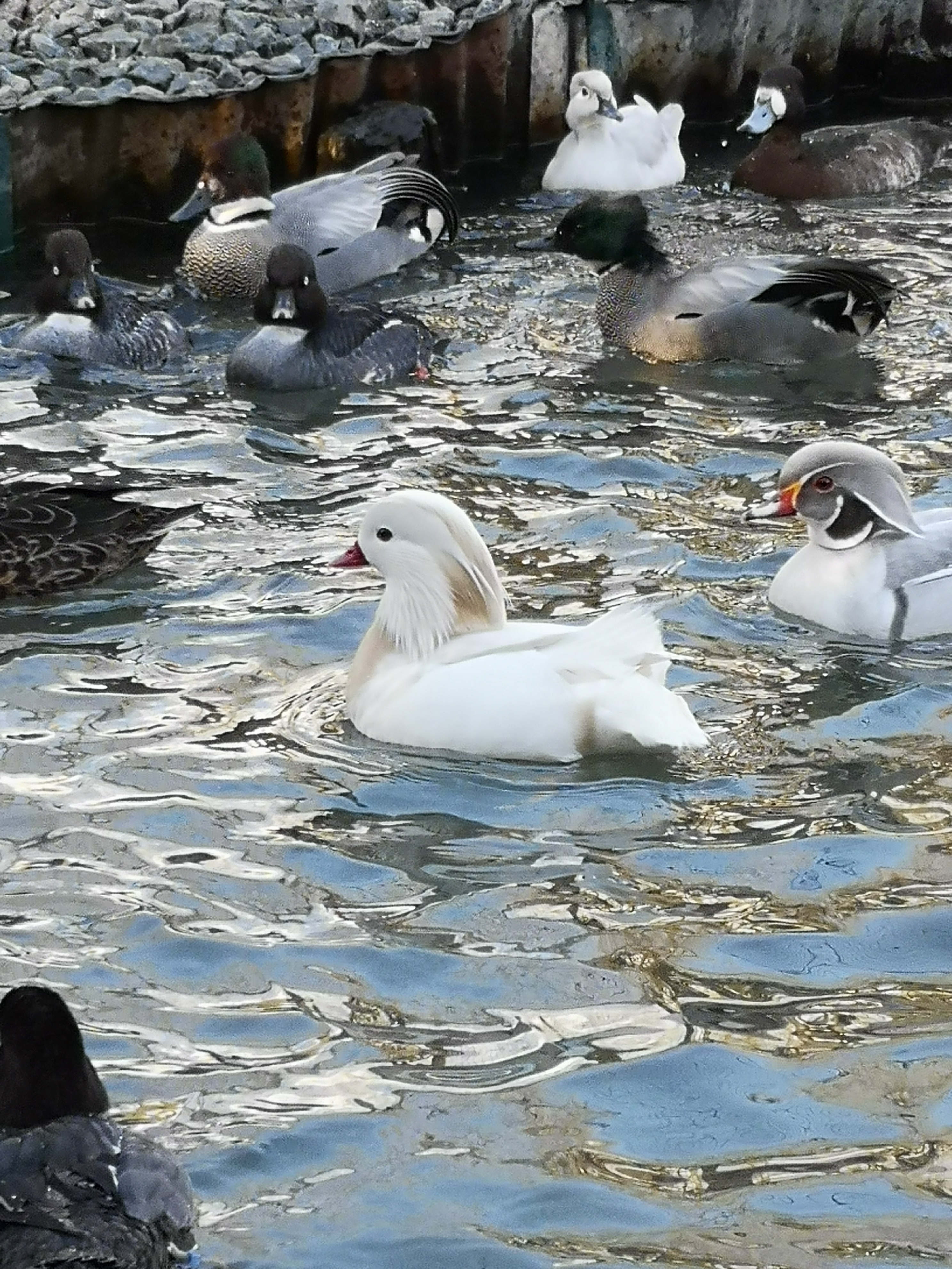 Photo n° 3 de l'avis de séverine.a fait le 20/03/2019 à 19:13